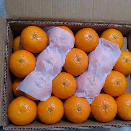 Click to view full screen Premium Quality Kinnow Box photo review