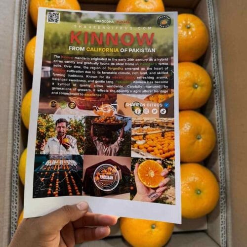 Click to view full screen Premium Quality Kinnow Box photo review