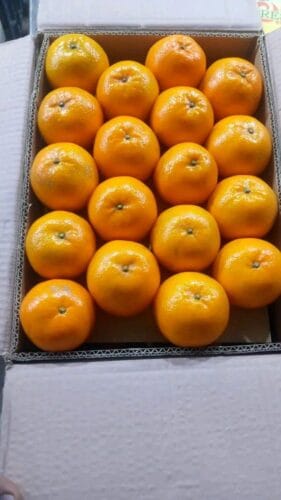 Click to view full screen Premium Quality Kinnow Box photo review